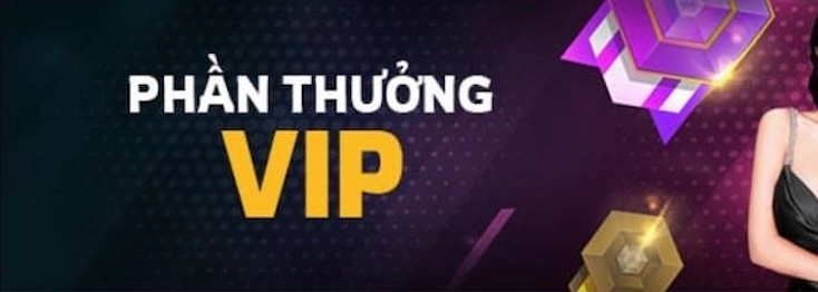 Tổng Quan Về Chương Trình Thưởng VIP Tại BetVisa